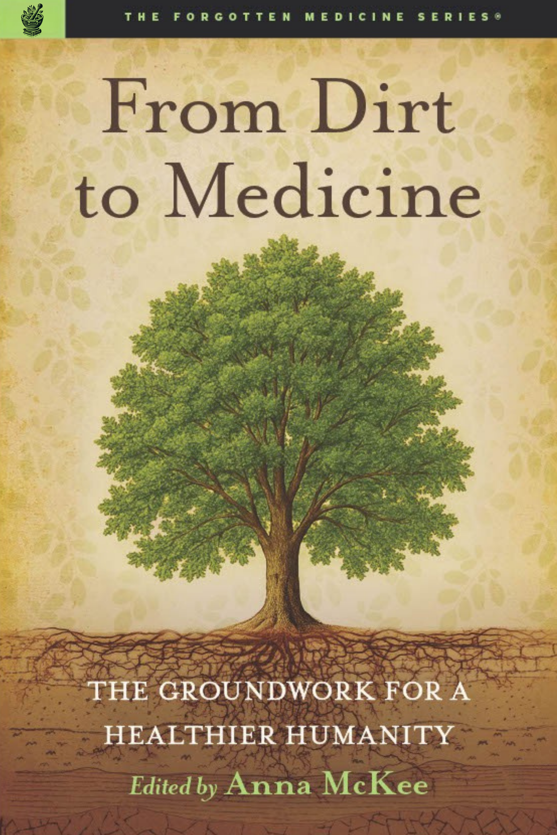 From dirt to medicine cover image